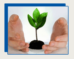 Corporate training